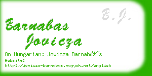 barnabas jovicza business card